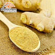 wholesale natural ginger extract ginger root powder/ginger oil 5% Gingerols to buyer